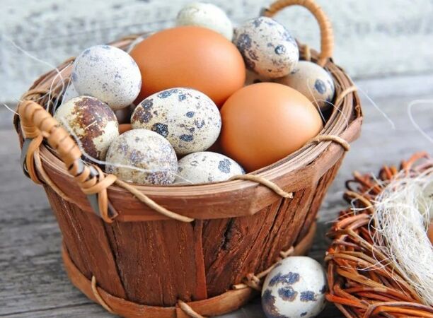Quail or chicken eggs