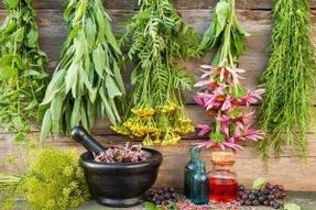 HERBS FOR POWER
