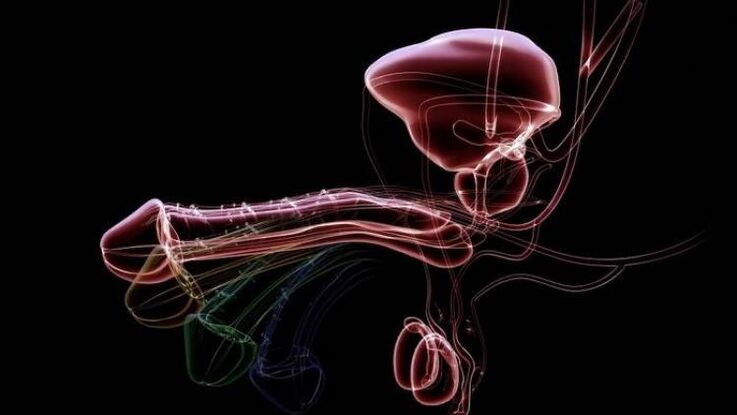 Why does discharge appear when men are excited and is it normal